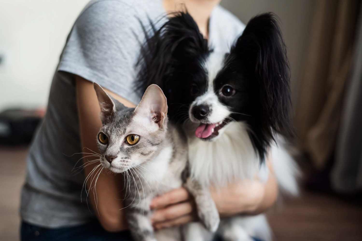 Resident with their cat and a dog at Serramonte Ridge Apartment Homes in Daly City, California