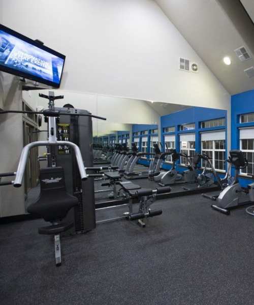 A well-lit fitness center with blue walls and large windows at Fox Ridge in Longmont,Colorado
