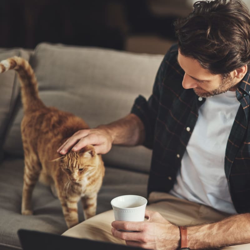 Resident petting his cat at Sommerset Place in Sacramento, California