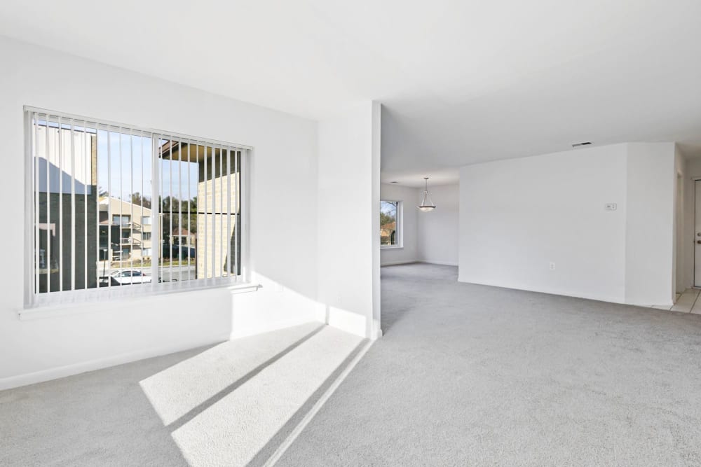 Model apartment with lots of natural light at Annen Woods Apartments in Pikesville, Maryland