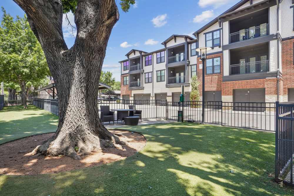 Exterior view of community at The Standard in Dallas, Texas