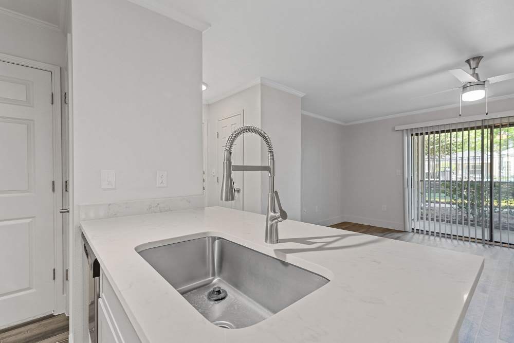Granite countertops and gooseneck faucet at Seacrest in Katy, Texas