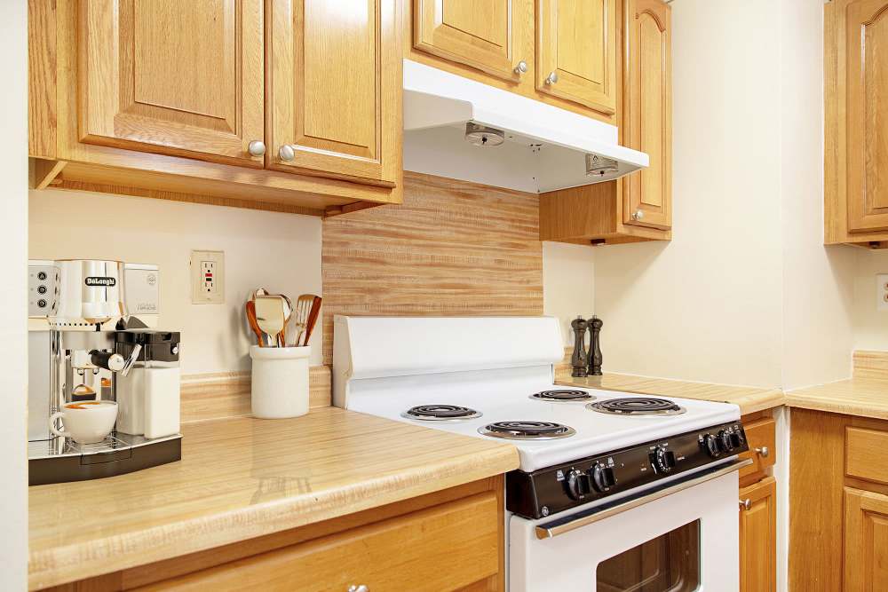 Kitchen with wood cabinetry at Victory Gardens in East Boston, Massachusetts