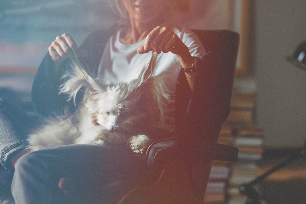 Resident playing with her pet at St. Albans Lofts in Raleigh, North Carolina,