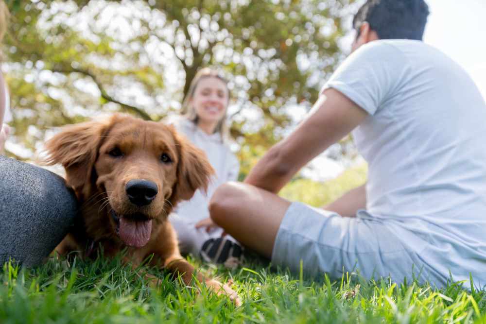 Community dog park at Cape Fear Townhomes in Fayetteville, North Carolina