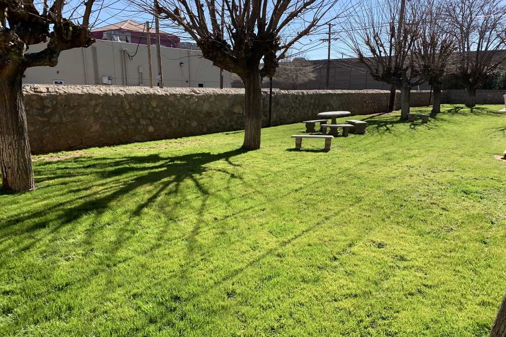 Greenery at Sagewood in El Paso, Texas