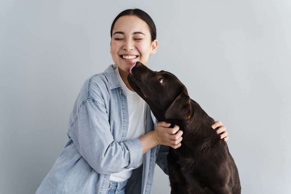 Woman smiling while playing with a brown dog in a cozy indoor space at Viña Apartments in Denver, Colorado