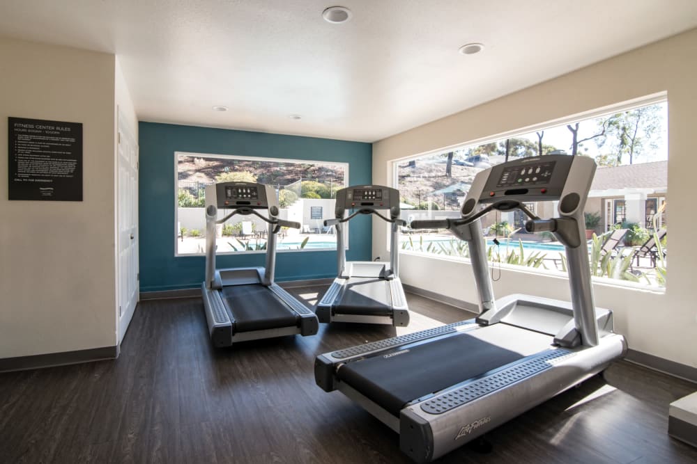 Clean, modern community gym at Lakeview Village Apartments in Spring Valley, California