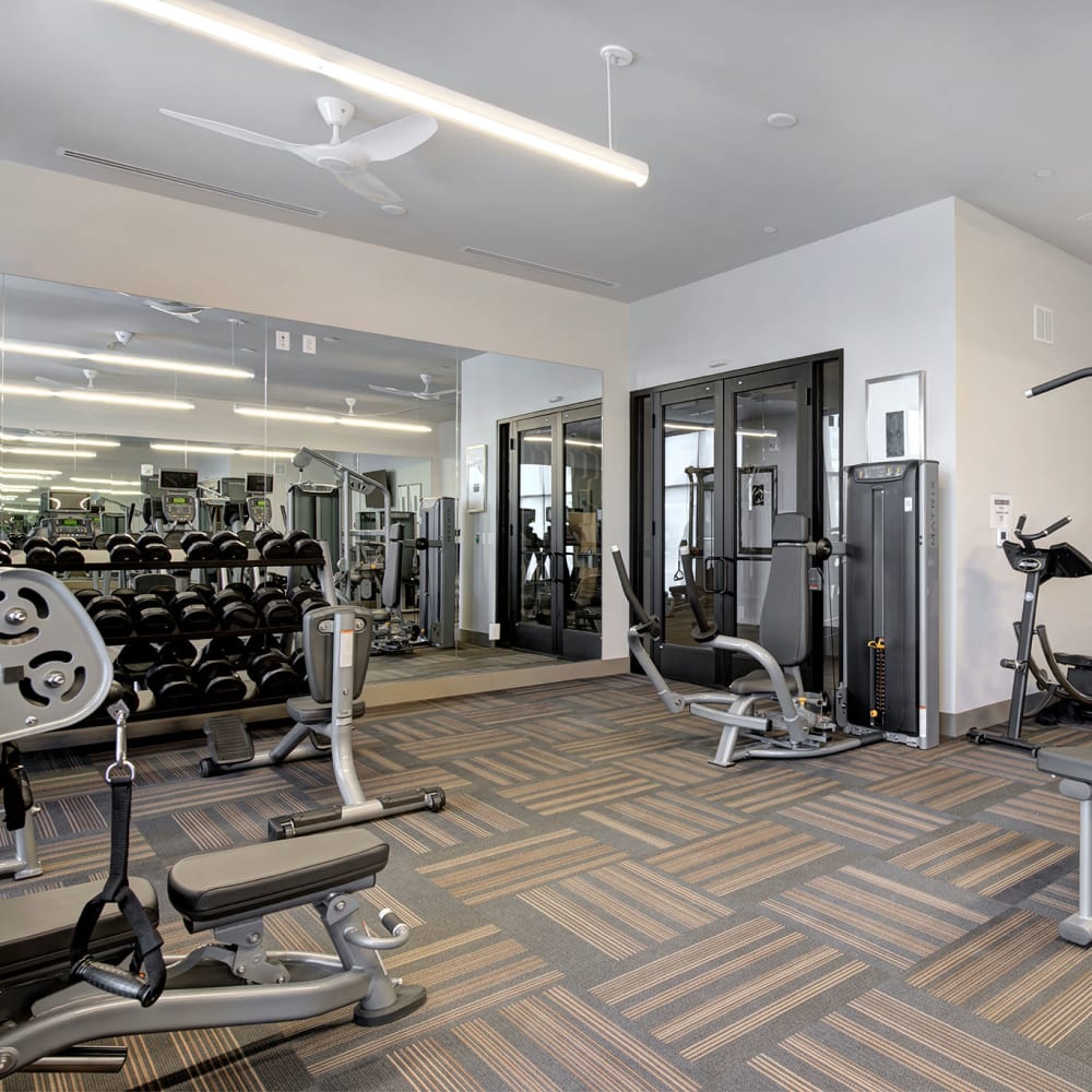 Our Apartments in Denver, Colorado offer a Gym