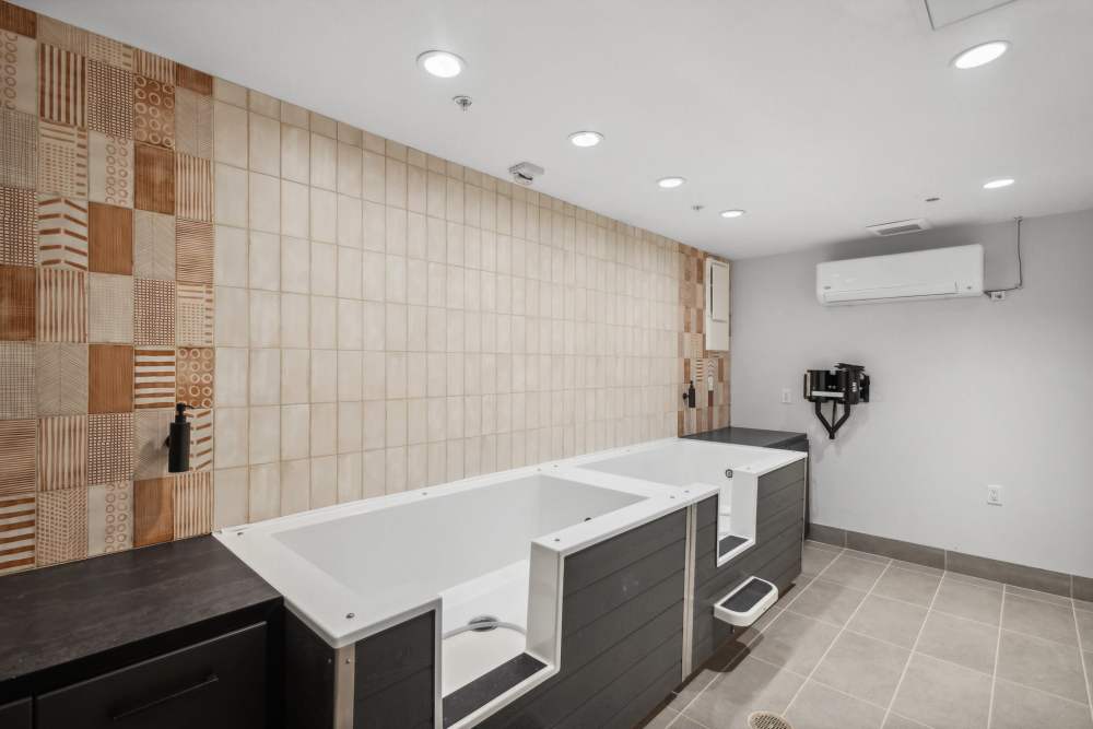 Dog wash station at The Elysian at Stonefield in Charlottesville, Virginia