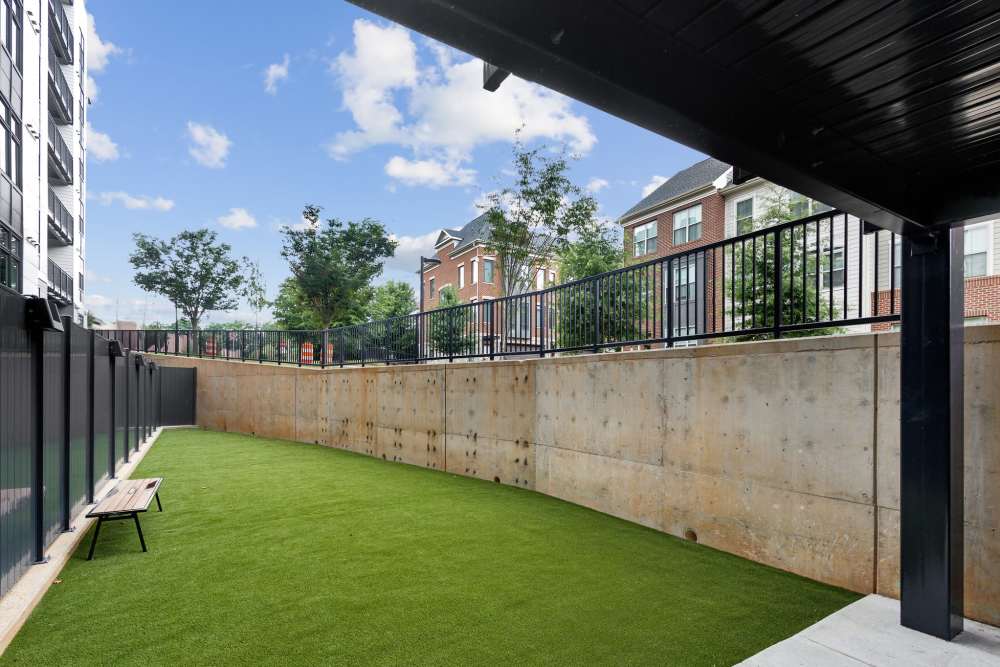 Pet Friendly Apartments | Spacious Dog Park