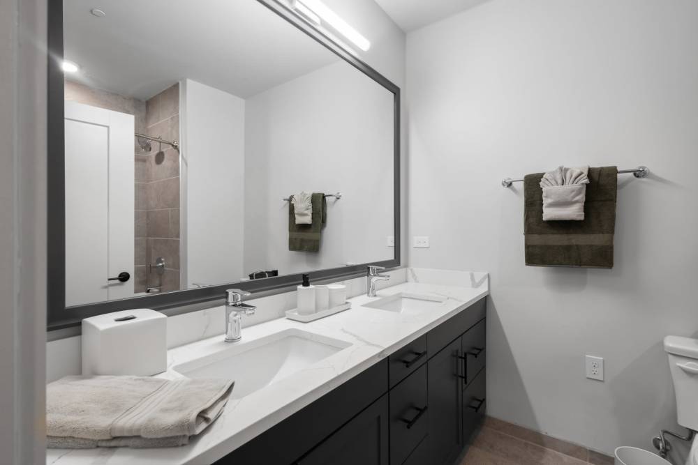 Model bathroom at The Elysian at Stonefield in Charlottesville, Virginia