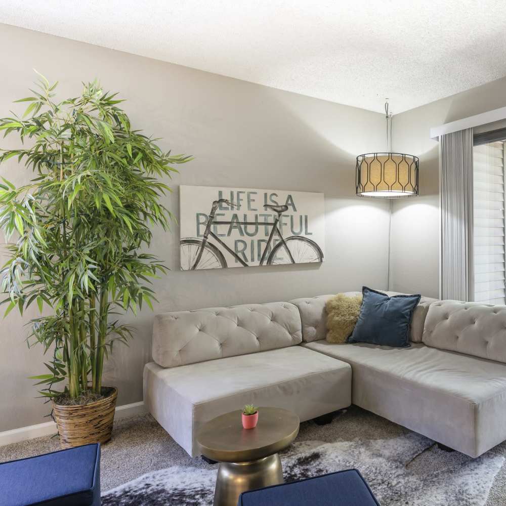 Living room with lively plant at Woodchase Apartments in San Leandro, California