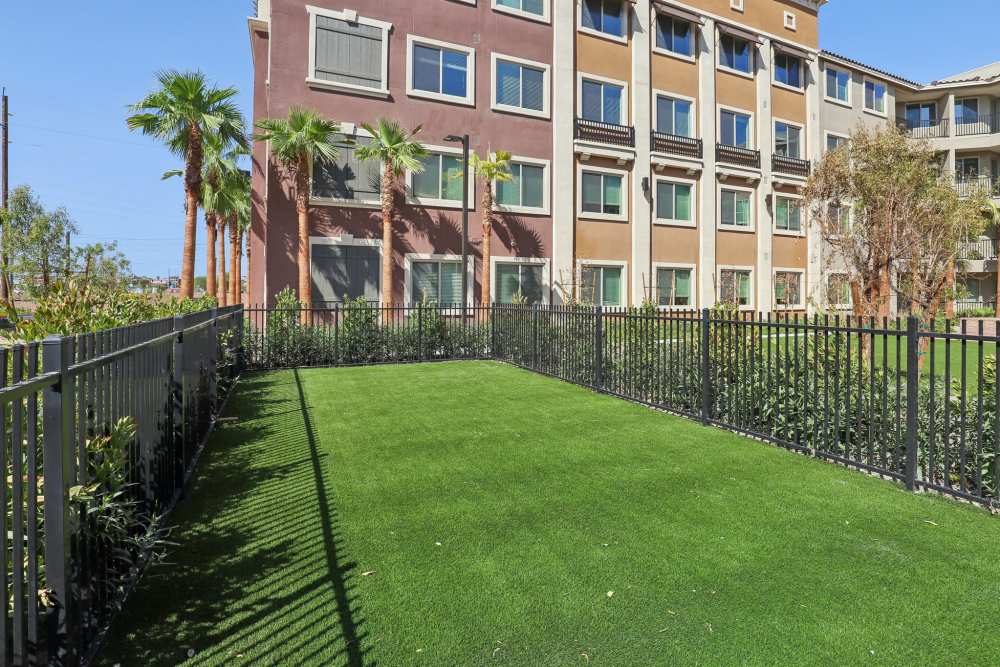 Community surrounded by greenery at Tempo in Las Vegas Nevada