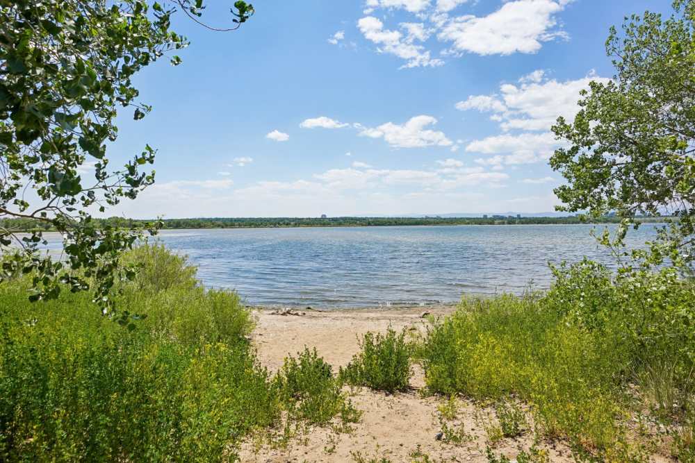 Lakeside view with greenery, sandy shore, and distant buildings near Tempo at Nine Mile Station in Aurora, Colorado