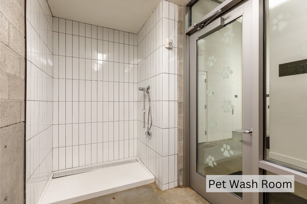 Community dog wash area at The Union in Portland. OR