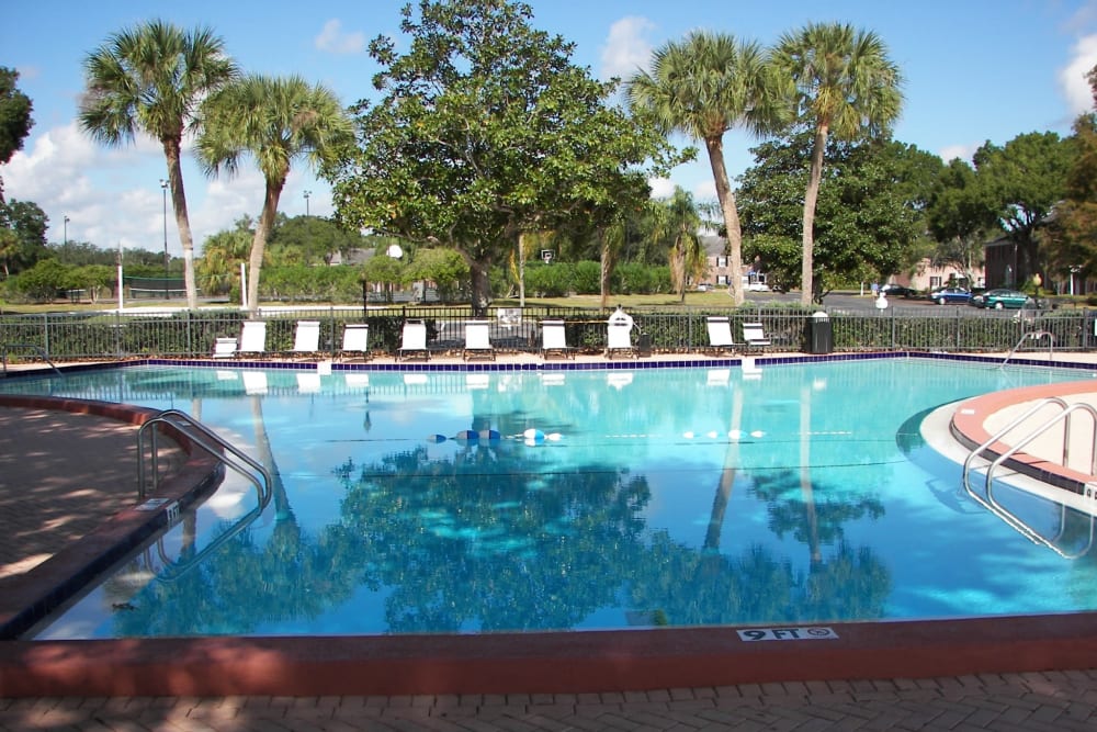 Enjoy Apartments with a pool at Park at Lake Magdalene Apartments & Townhomes in Tampa, Florida