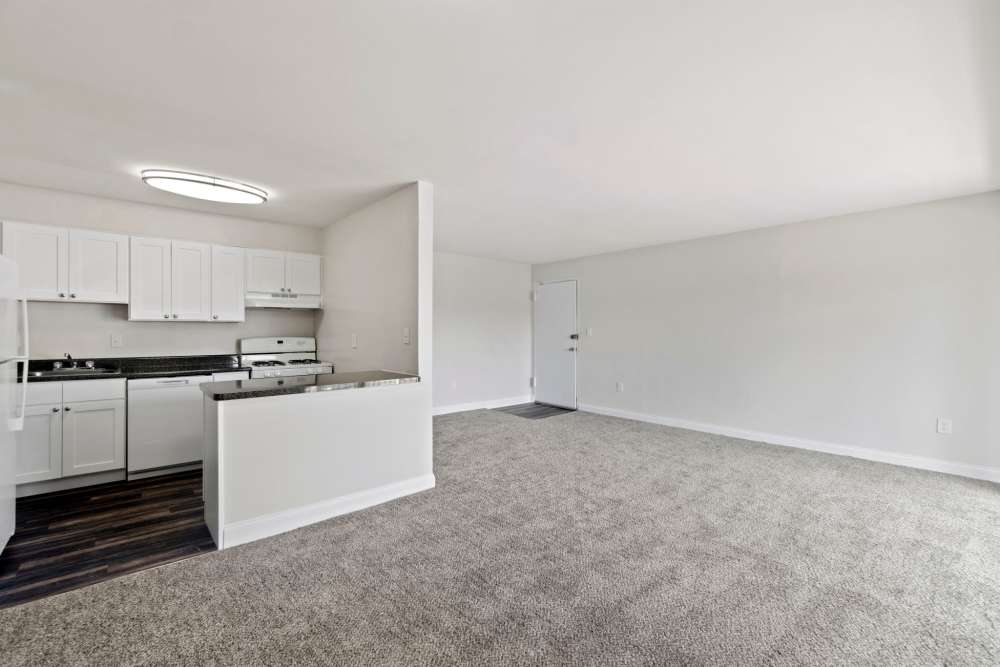 Apartment kitchen and living area at Chesapeake Landing Apartments in Landover Hills, Maryland