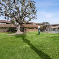Grassy pet area by the pool at Newland Garden Apartments in Garden Grove, California