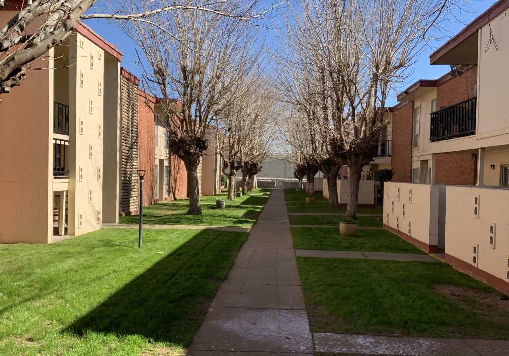 Greenery at Sagewood in El Paso, Texas