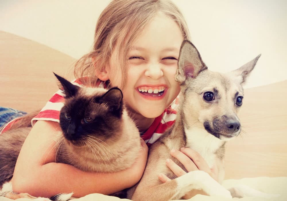 Resident child playing with her cat and puppy at Greymont Village in Asheville, North Carolina