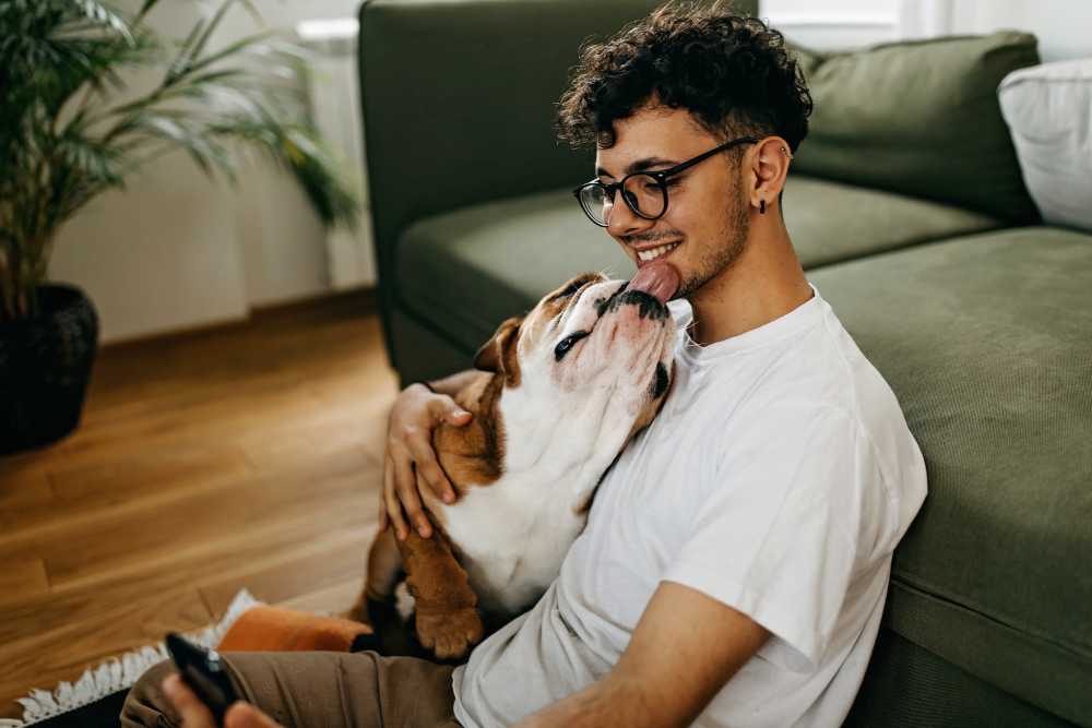Resident relaxing on the couch with his dog at Springfield Apartments in Murfreesboro, Tennessee