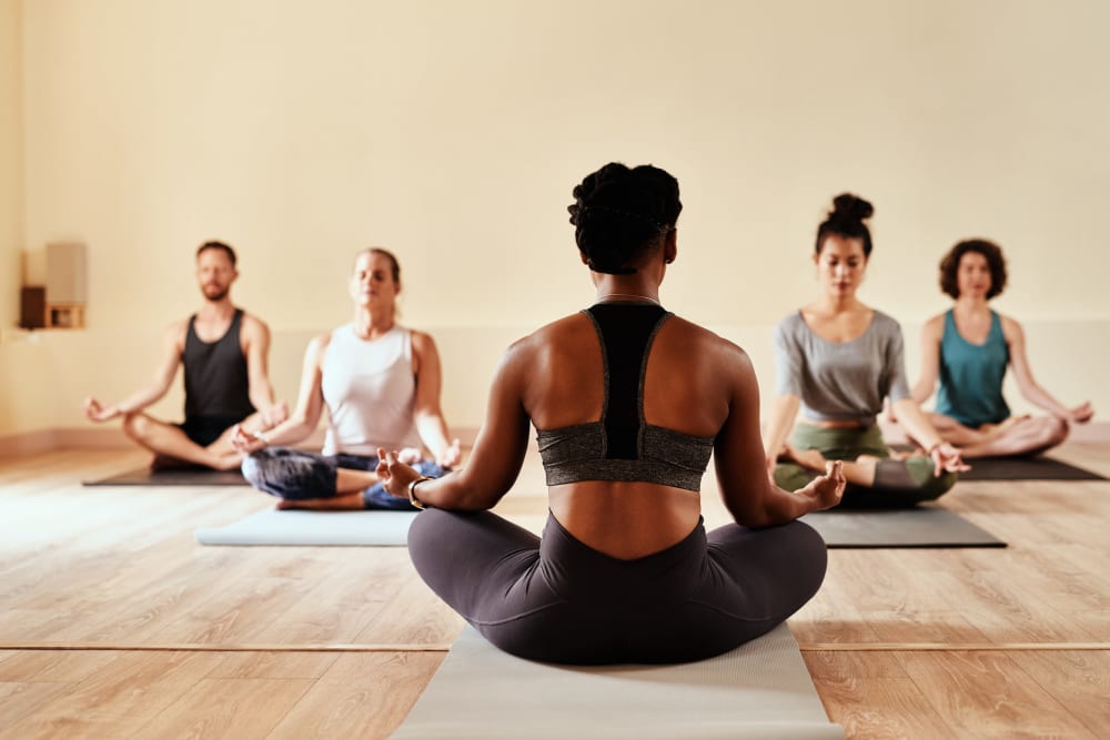 Yoga class in session near Thirteen15 in New Orleans, Louisiana