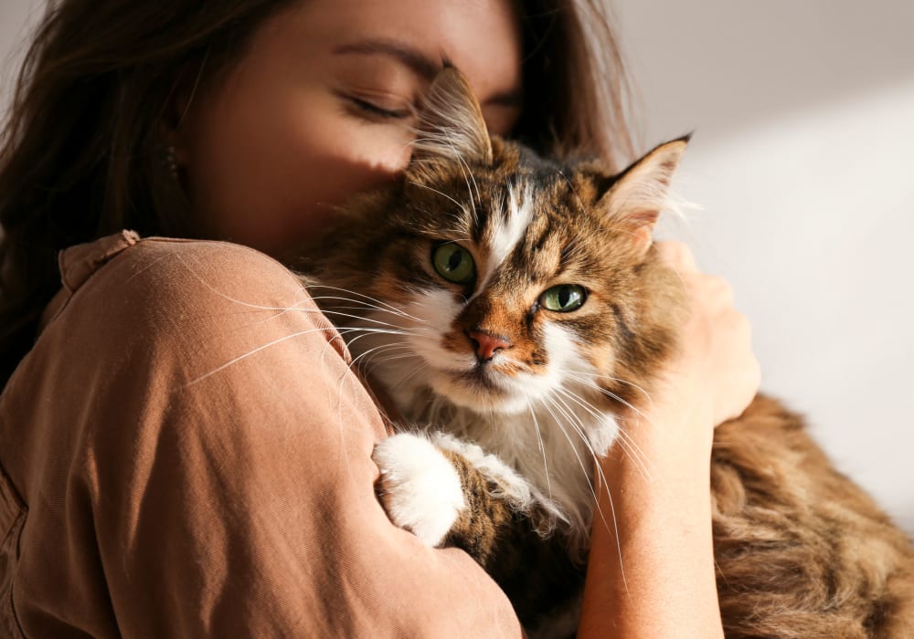 Woman holding her cat at The Abbey at Energy Corridor in Houston, Texas