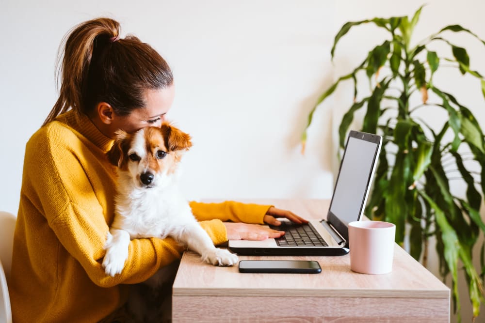 Resident working on her computer with her dog on her lap at Oaks Minnehaha Longfellow in Minneapolis, Minnesota