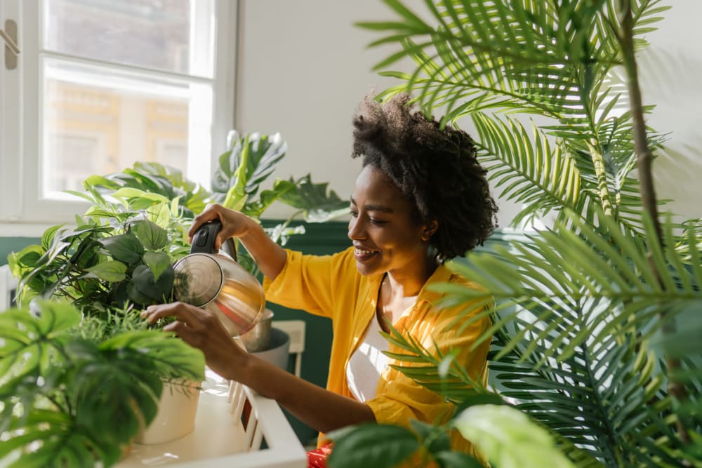 Resident watering plants in their new living room at 1869 West in Pittsburgh, Pennsylvania