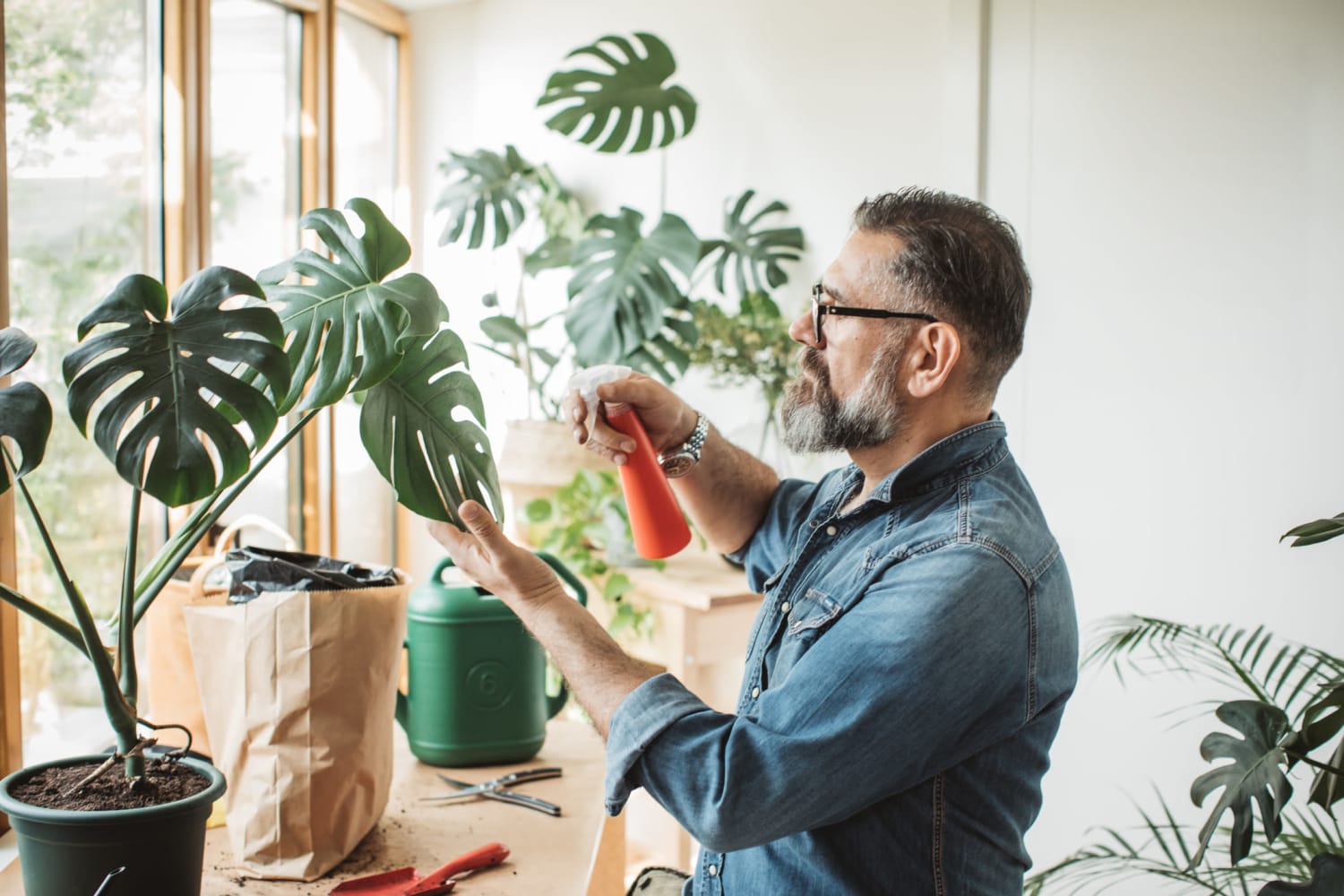A resident caring for houseplants in an apartment at Station 21 Apartments in Mesa, Arizona