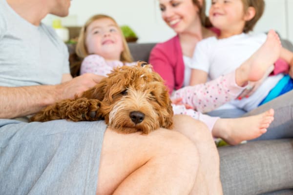 Family with dog at Heights at Battle Creek in Broken Arrow, Oklahoma