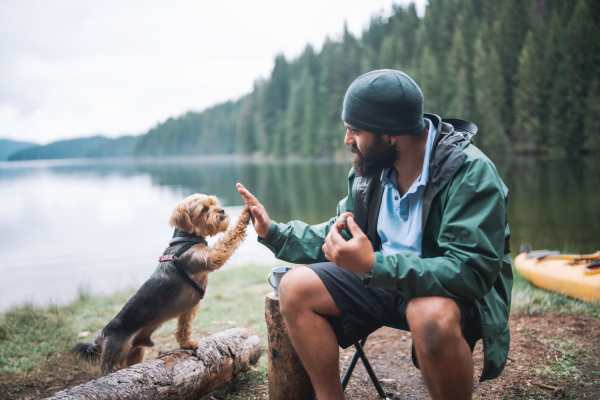 Pet friendly at The Sage Collection in Tacoma, Washington