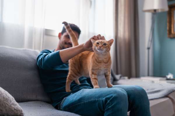 Resident petting his cat at Avonlea Creekside in Marietta, Georgia