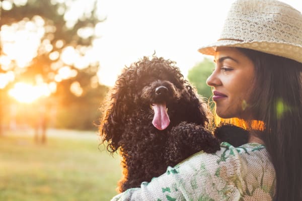 Pet friendly apartments at Pavilions at Silver Sage