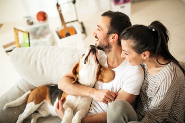 Elkton Manor Apartments is pet friendly