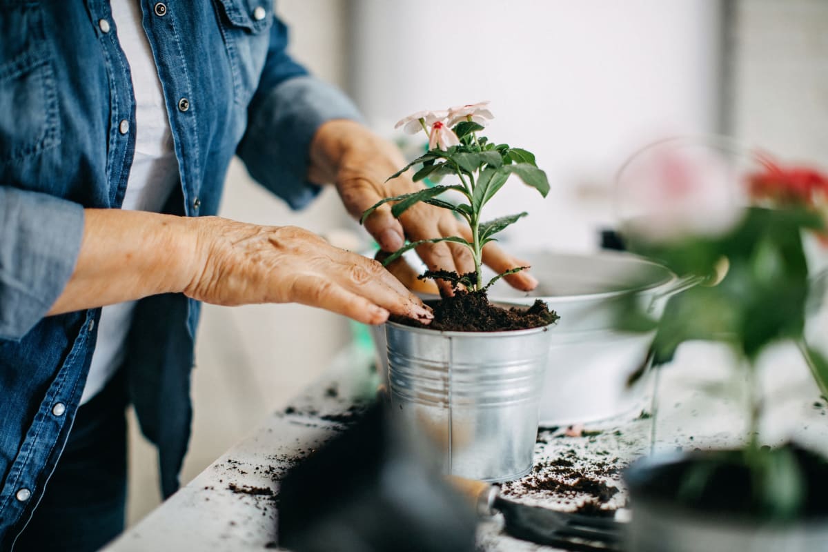 Resident planting flowers at Oxford Villa Active Senior Apartments in Wichita, Kansas