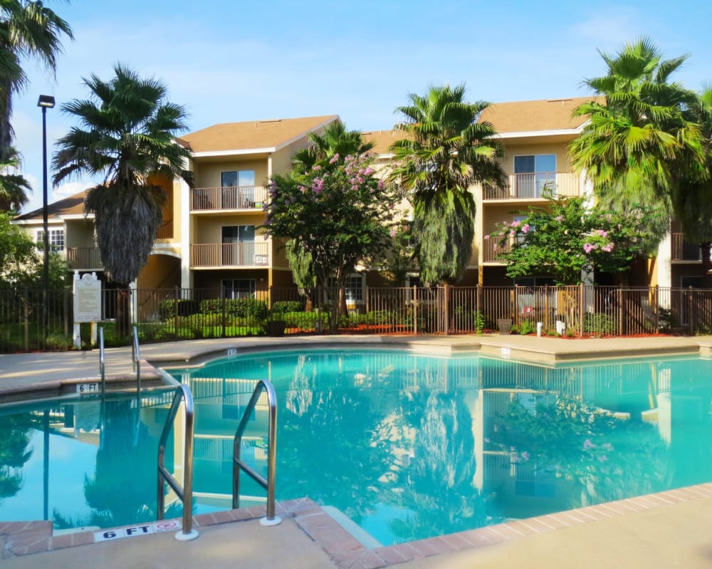 Pool surrounded by palm trees at  San Marco Apartments in Ormond Beach, Florida