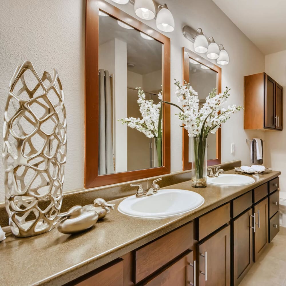 Bathroom at Discovery at Craig Ranch in McKinney, Texas