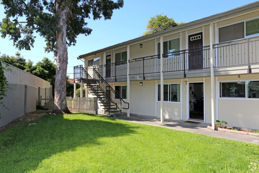 Grassy lawn outside of Fremont Arms Apartment Homes in Fremont, California