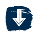 Divider Image