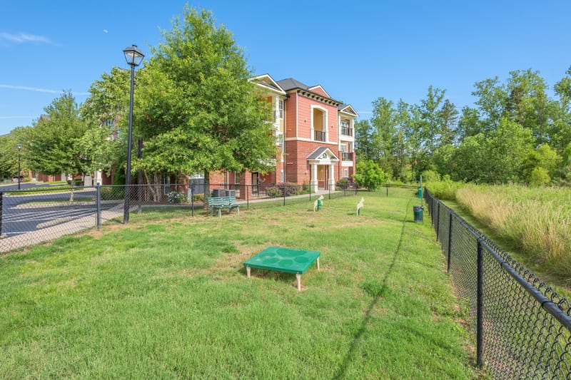 Onsite dog park at The Vive in Kannapolis, North Carolina