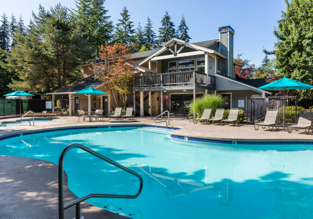 Pool at Madison Sammamish Apartments in Sammamish, Washington