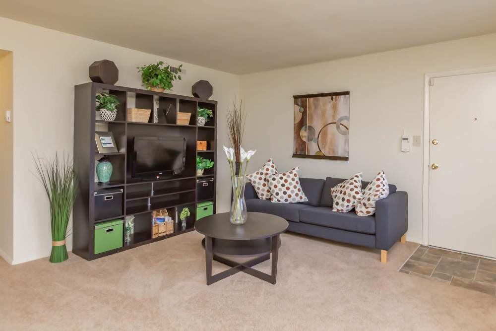 A beautiful furnished living room at Village at Town Park in Hampton, Virginia