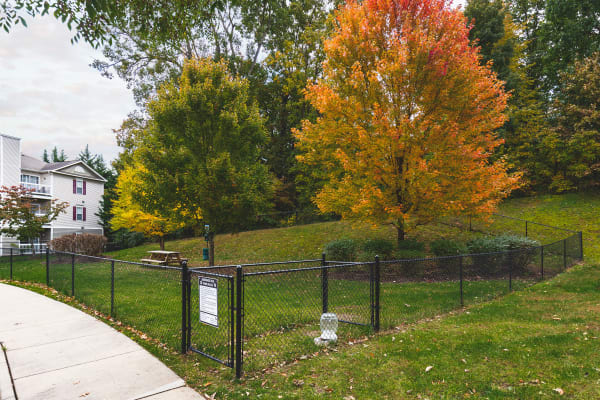 Dog park at Sunchase at James Madison in Harrisonburg, Virginia