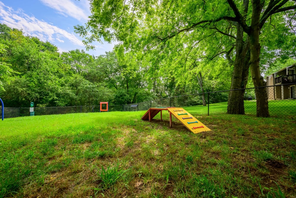 Spacious dog park with agility course at The Hamilton in Hendersonville, Tennessee