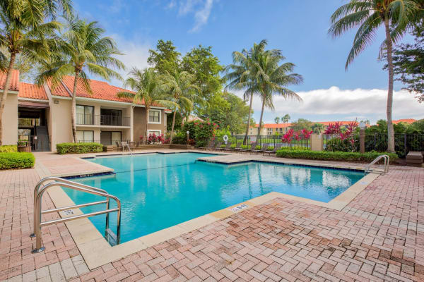Swimming pool surrounded by palm trees at Village Place Apartment Homes in West Palm Beach, Florida