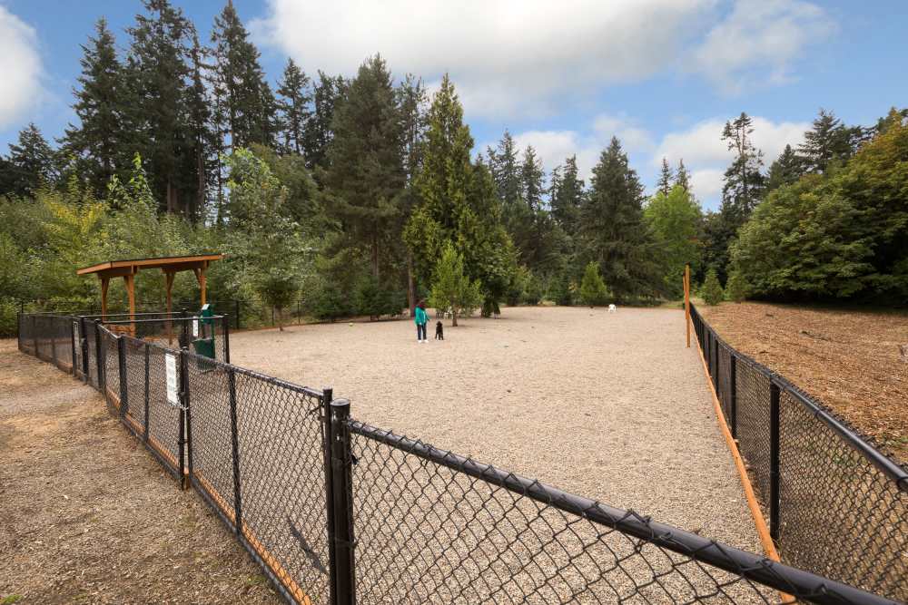 The off-leash bark park at pet-friendly Terrene at the Grove in Wilsonville, Oregon