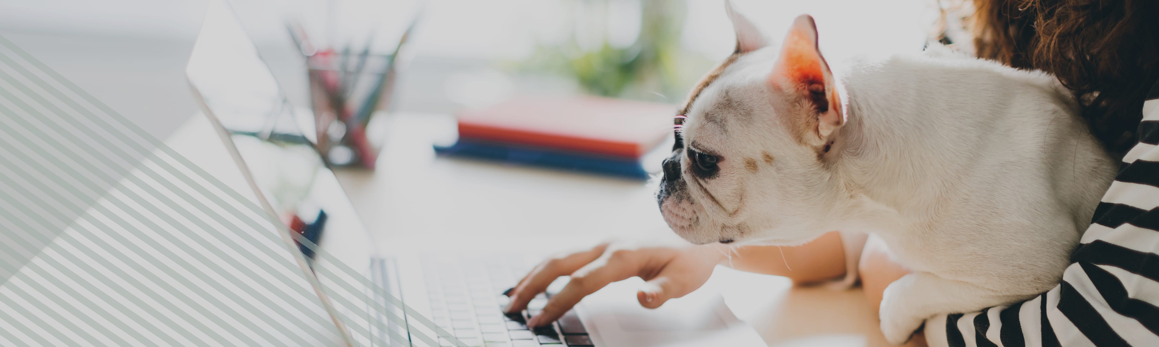 Alta Tech Ridge offers Pet Friendly apartments in Austin, TX