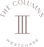 Divider Image